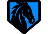 Ford Bronco Ecoboost Icon